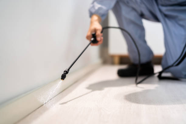 Licensed Cockroach Control service in Benwood, WV - Nex Pest Control