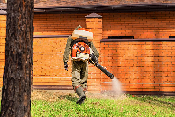 Trusted Termite Control service in Benwood, WV - Nex Pest Control